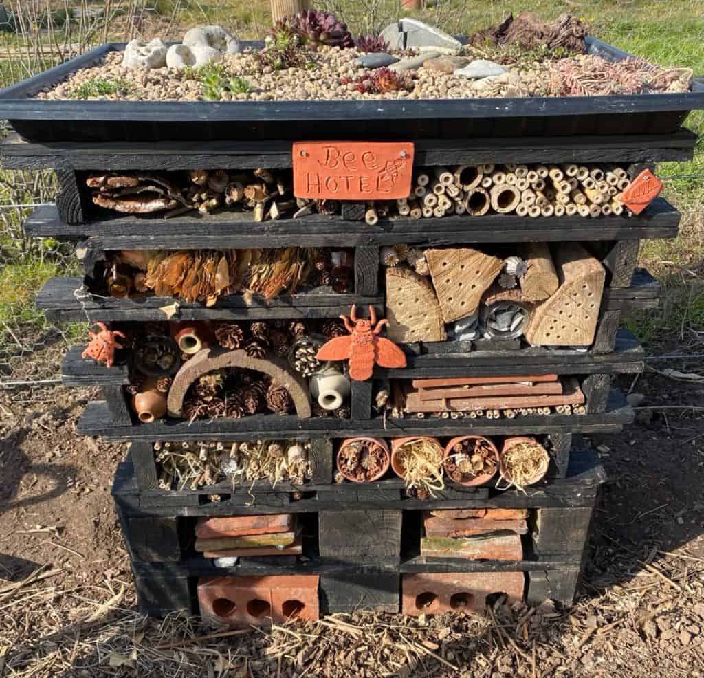 Bug hotel for insects and all that creepy and crawls!