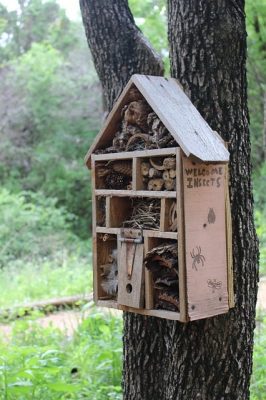 a bug hotel attached to a tree