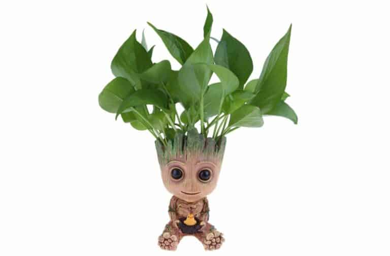 Best Baby Groot Plant Pot and Groot Flower Pot