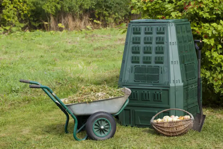 Best Compost Bin For Your Garden