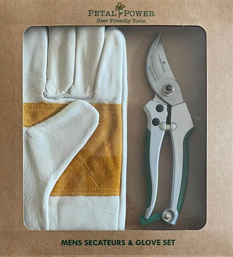 Glove and Secateurs Set