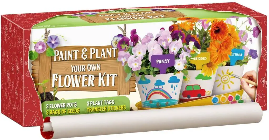 Paint And Plant Flower Kit