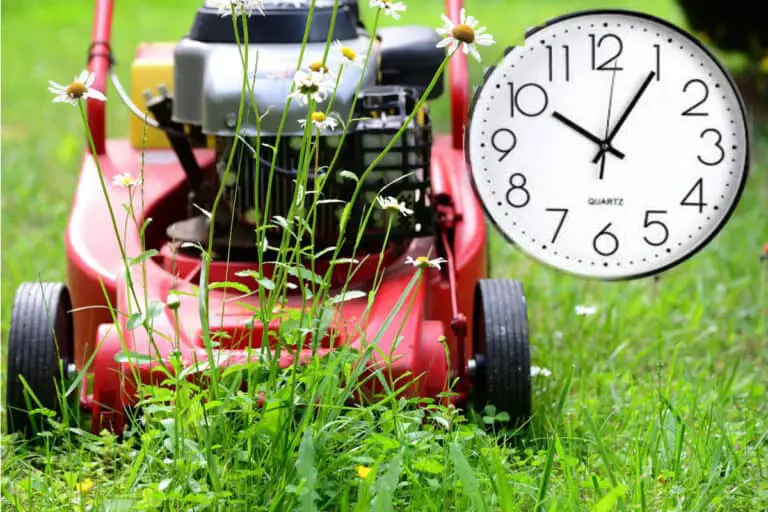 Legal Time To Mow Your Lawn In The UK