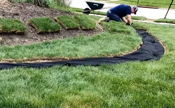 Disguise the french drain