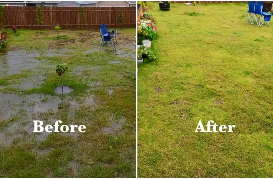 French drain before and after image