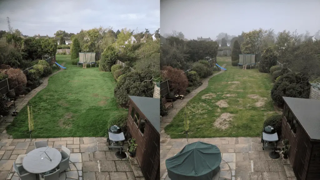 Before and After images for moss removal