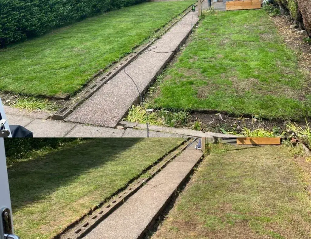 Before and After photo from using Pro Kleen for moss removal